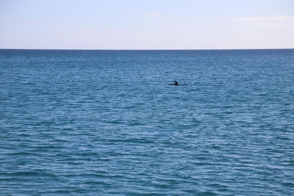 Apartament Ocean Flat Cagliari Zewnętrze zdjęcie